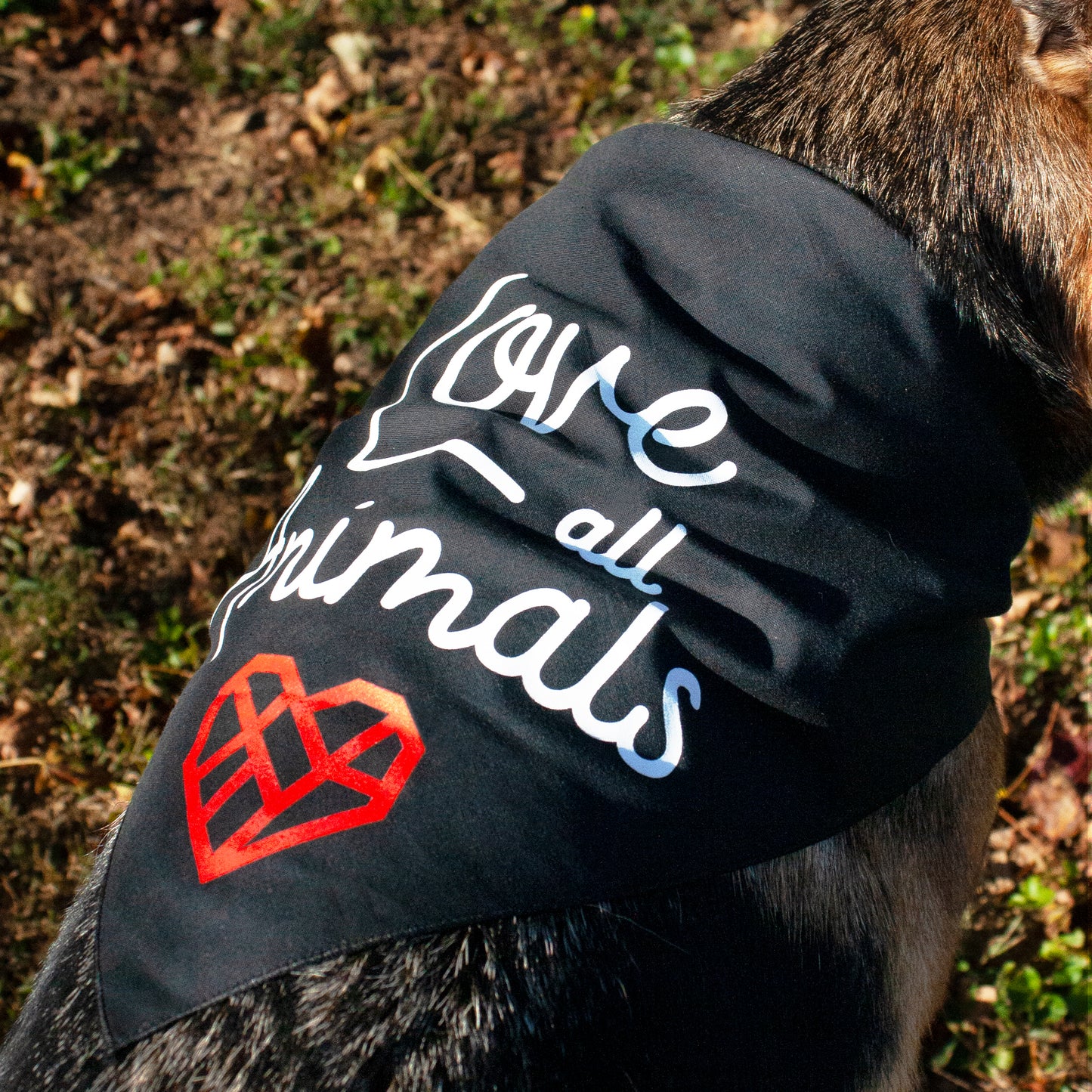 Bandana For The Animals