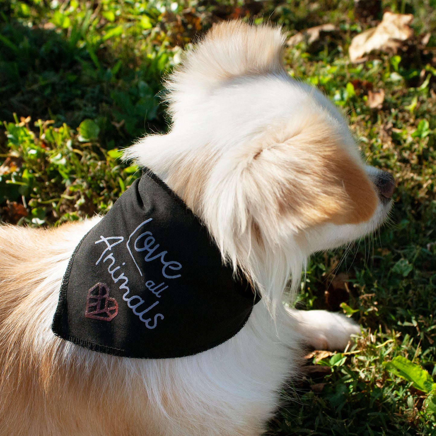 Bandana For The Animals