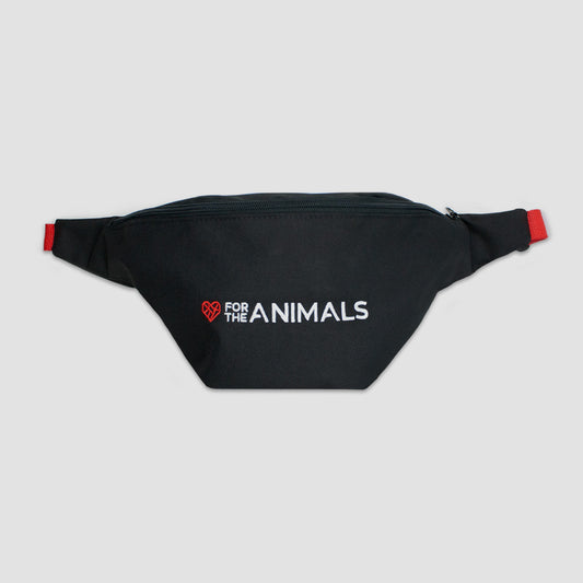 Front view of the black fanny pack that shows a red strap and black buckle.